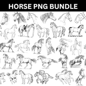 Horse PNG Bundle,Horse Head PNG,Horse Vector,Horse Cut File,Animal PNG,Transparent Background,digital download svg, png, eps,files