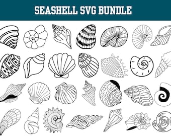 Seashell SVG Bundle: Hand-Drawn Cut Files for Cricut (Digital Download)