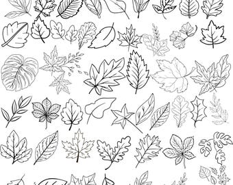 May include: A collection of black and white line art illustrations of various fall leaves. The text "FALL LEAVES SVG BUNDLE" is at the top, and "AI-EPS-JPG-PNG-SVG" is at the bottom. The leaves include maple, oak, and other leaf types.