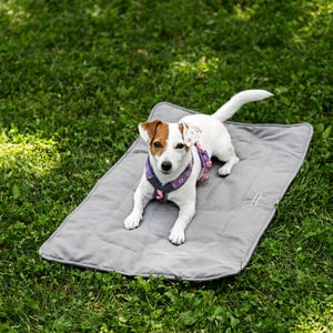 May include: A small white dog with brown patches on its head and ears, wearing a purple and blue patterned harness, lying on a rectangular gray quilted pet mat. The mat features a small rectangular tag on the right side with visible text.
