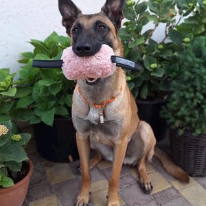 Giocattolo da tiro soffice per cani - Cuscino da addestramento resistente con manici antiscivolo / Rosa (morbido) e Nero (riccio) / Gioco quotidiano o addestramento IGP immagine 8