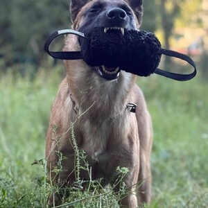 Giocattolo da tiro soffice per cani - Cuscino da addestramento resistente con manici antiscivolo / Rosa (morbido) e Nero (riccio) / Gioco quotidiano o addestramento IGP immagine 9