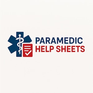 Foglio di supporto ePCR / Modello per medici/studenti paramedici/studenti infermieri/paramedici/infermieri/studenti medici