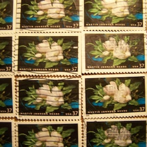White Magnolia Stamps - Lot of 100 Used Flower Stamps as Pictured