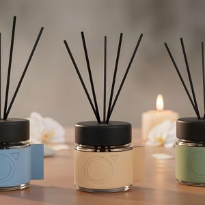 Glass Reed Diffuser with Leather Sleeves