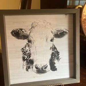 May include: A square wall art piece featuring a black and white sketch of a cow's head centered on a light wood grain background. The artwork is enclosed in a simple, dark gray wooden frame, showcasing the detailed facial features of the animal.