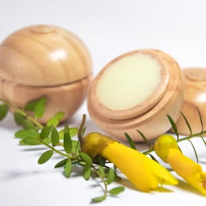 Pode incluir: Dois recipientes de madeira com tampas, um aberto para revelar um bálsamo branco no interior. Um ramo de folhas verdes com flores amarelas está em primeiro plano.