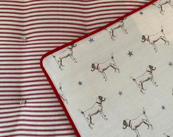 Peony and sage all star pillow