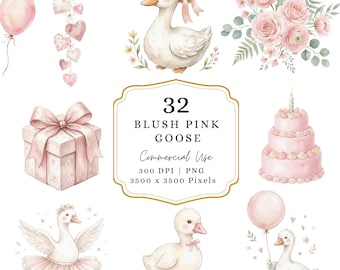 Silly Goose Baby Shower Clipart, Silly Goose Birthday, Whimsical Clipart for Cards, Scrapbooking, Sublimation, Stickers & DIY Crafts