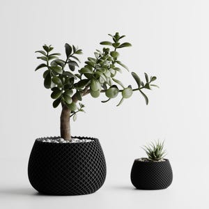 May include: Two black, textured, geometric-patterned planters, one large and one small, each containing a green plant. The larger planter holds a jade plant with rounded leaves. The smaller planter has a succulent.