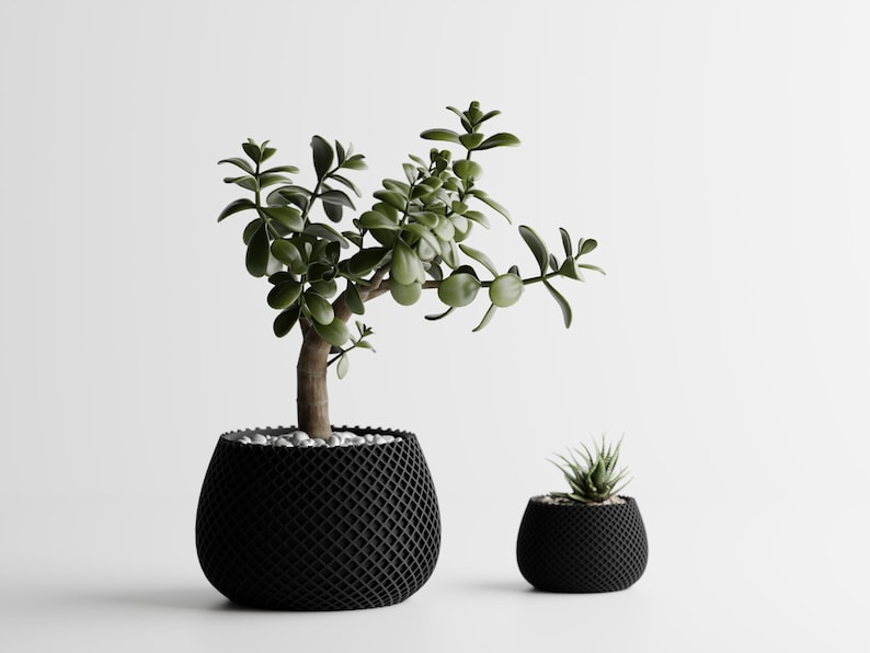 May include: Two black, textured, geometric-patterned planters, one large and one small, each containing a green plant. The larger planter holds a jade plant with rounded leaves. The smaller planter has a succulent.