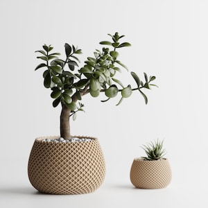 Peut inclure: Deux jardinières décoratives avec des plantes. La plus grande contient un petit arbre aux feuilles vertes et un tronc brun. La plus petite contient une plante succulente. Les deux jardinières ont un motif beige tissé.
