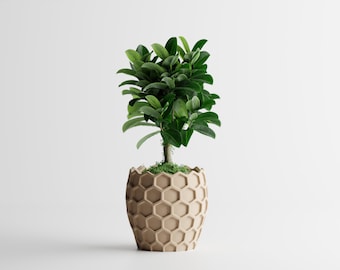 Maceta moderna con diseño de panal impreso en 3D