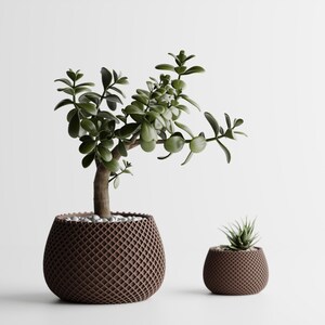 May include: Two potted plants on a white surface. The larger plant is a jade plant with dark green leaves and a brown trunk, in a brown, lattice-patterned pot. A smaller succulent is in a matching pot.