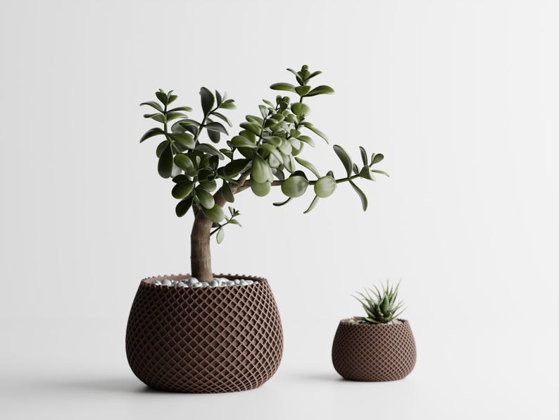 May include: Two potted plants on a white surface. The larger plant is a jade plant with dark green leaves and a brown trunk, in a brown, lattice-patterned pot. A smaller succulent is in a matching pot.