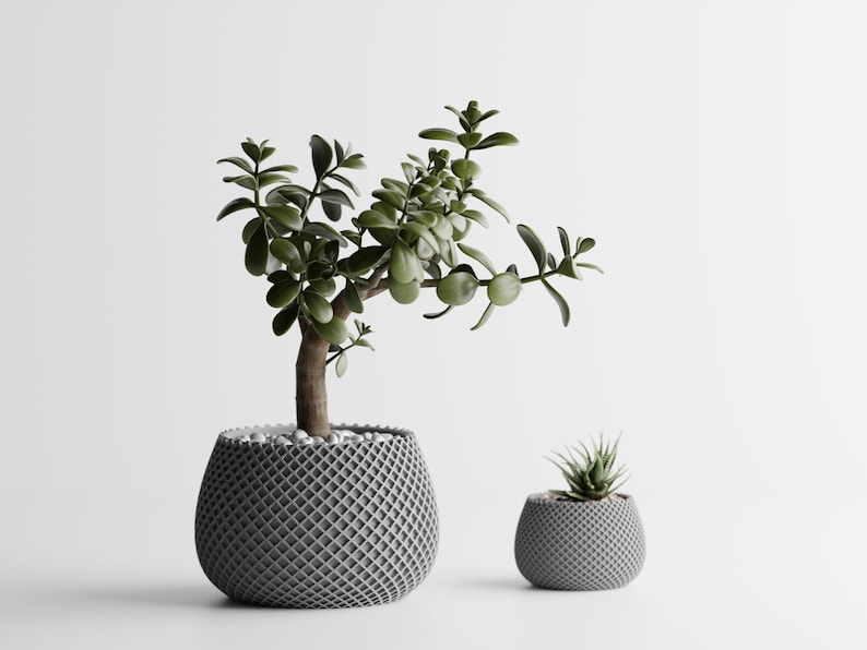 May include: Two gray, textured planters with green plants. The larger planter holds a small tree with a brown trunk and green leaves. The smaller planter contains a succulent. Both planters have a diamond pattern.