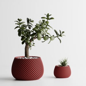 May include: Two red, textured, decorative pots, one large and one small, each containing a green plant. The larger pot holds a jade plant with a thick trunk and rounded leaves. The smaller pot contains a succulent.