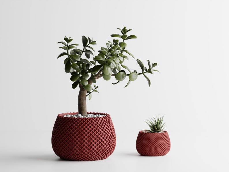May include: Two red, textured, decorative pots, one large and one small, each containing a green plant. The larger pot holds a jade plant with a thick trunk and rounded leaves. The smaller pot contains a succulent.