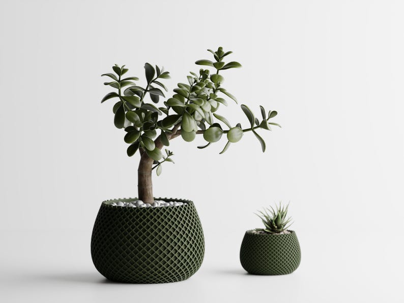 May include: Two green potted plants. The larger plant has a thick brown trunk and many green leaves. The smaller plant is a succulent. Both plants are in dark green, lattice-patterned pots, set against a white background.