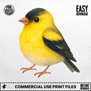 Goldfinch PNG: Sublimation Clipart for DIY Crafts (Digital Download)