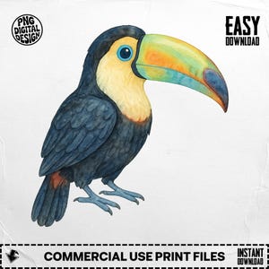 Toucan Png, Toucan Clipart, Bird Png, Bird Clipart, Watercolor Toucan, Tropical Bird, Birds Png, Birds Clipart, Digital Download PNG