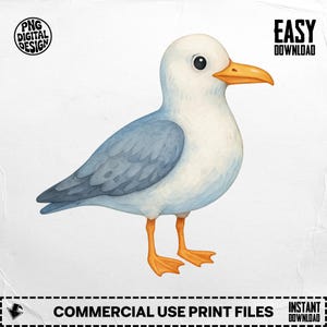 Seagull Png, Seagull Clipart, bird png, bird clipart, birds png, birds clipart, watercolor birds, Watercolor Seagull, Digital Download PNG