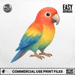 Watercolor Parrot PNG: Tropical Bird Clipart, Sublimation Design (Digital Download)