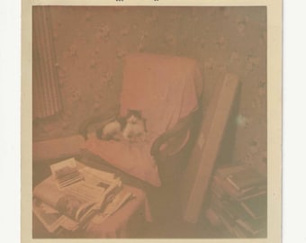 Vintage 1966 Kodak Color Photo | Cat on Chair in Living Room