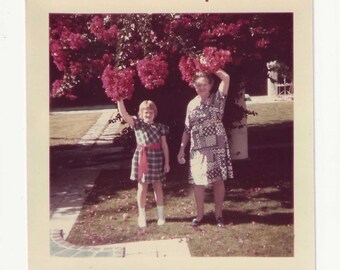 1972 Thanksgiving Found Photo | Girl and Grandma Under Bougainvillea