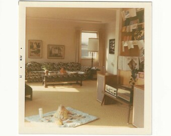 1971 Mid-Century Living Room Photo: Baby on Blanket, Retro Decor