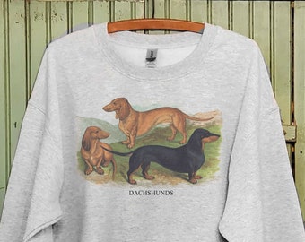 Vintage Dachshund lover sweatshirt or tshirt, Dachshund trio sweatshirt, Dachshund art print, Dachshund gift ,Daddy and me shirts