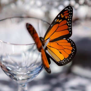 Monarch Butterfly colorful wedding decoration table scape nature Wine Glass Topper Set of 25 image 6