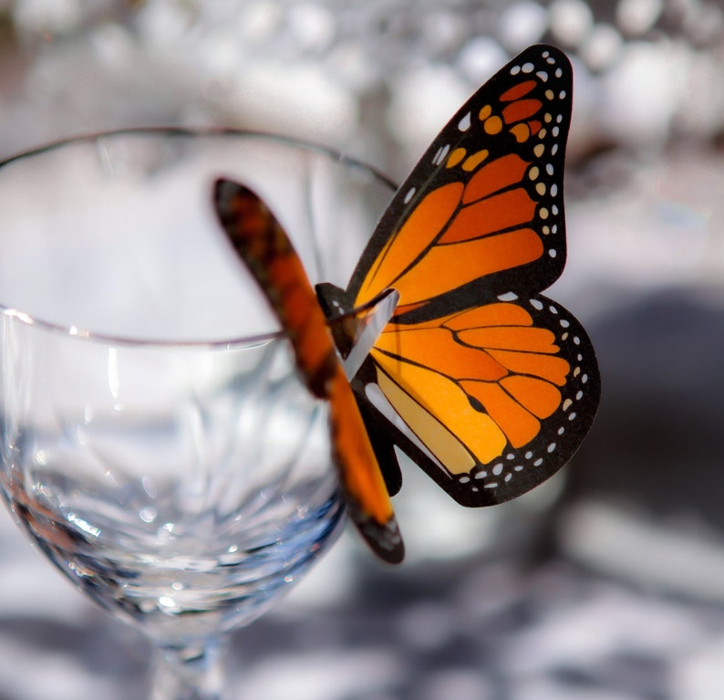 Monarch Butterfly colorful wedding decoration table scape nature Wine Glass Topper Set of 25 image 6