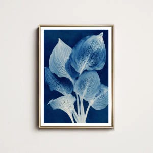 Stunning Blue Vintage Style Botanical Print - Plant Art - Digital Download- 11 sizes- Printable Wall Art