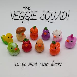 Peut inclure: Dix canards miniatures en résine en forme de légumes et de fruits, incluant un champignon, une citrouille, une aubergine, de l'ail, une fraise et de la laitue. Le texte indique the VEGGIE SQUAD! et 10 pc mini resin ducks. Chaque canard est coloré.
