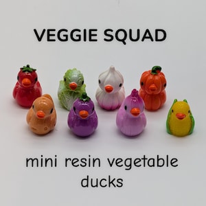 May include: A collection of eight mini resin vegetable ducks in various colors, including red, green, orange, purple, pink, and yellow. Each duck has an orange beak. The text "VEGGIE SQUAD" and "mini resin vegetable ducks" are displayed.