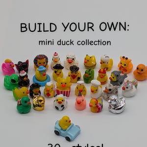May include: A selection of miniature duck figurines in diverse styles, including ducks with hats and in a car. The image includes the text "BUILD YOUR OWN: mini duck collection" and "30+ styles!" displayed on a white background.