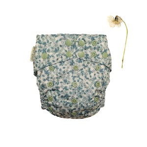 Evergreen - Cloth Club Reusable Nappy / Diaper AI2