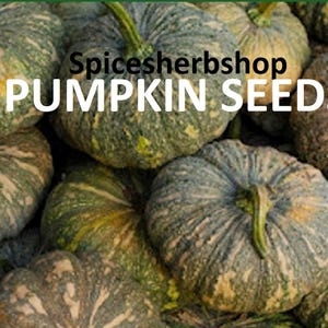 Pumpafrön för plantering | Ekologiska arvegetariska frön