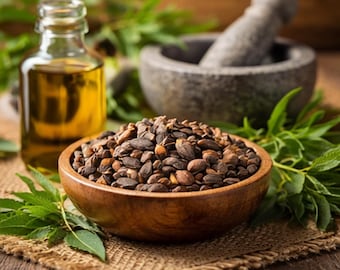 Semillas de neem para plantar – Semillas del árbol Azadirachta Indica