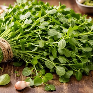 Könnte beinhalten: Ein frischer Bund Brunnenkresse, mit Bindfaden zusammengebunden, umgeben von Zutaten wie Zitronenspalten, Gewürzen und kleinen Schalen mit Gewürzen. Die Brunnenkresse hat kleine, runde grüne Blätter und ist leuchtend grün. Die Holzoberfläche verleiht einen rustikalen Touch.