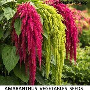 Könnte beinhalten: Ein Set aus drei Keramikbechern mit gesprenkelter, cremefarbener Glasur. Jeder Becher zeigt ein handgemaltes Blumendesign in Blau-, Grün- und Gelbtönen. Die Becher haben eine einfache, abgerundete Form und einen bequemen Griff.