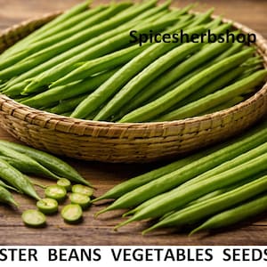 Op de afbeelding: Een gevlochten mand vol verse, levendige groene kluisbonen. Enkele bonen liggen verspreid op een houten oppervlak. De tekst "CLUSTER BEANS VEGETABLES SEEDS" is ook aanwezig.