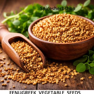 1 kg de semillas de fenogreco (Methi) para plantar / Semillas de hierbas y hortalizas orgánicas