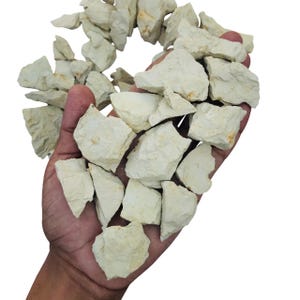 May include: A handful of light beige, irregularly shaped rocks. The rocks have a rough, textured surface and varying sizes. Some rocks have small orange-brown spots. The rocks are held in a dark-skinned hand against a white background.