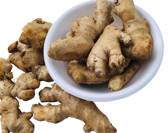Radice di zenzero fresca biologica: prodotto dell'India, radice per la preparazione di succhi.