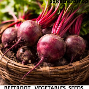 May include: A weathered wooden sign, inscribed with 'Welcome to our home' in white. The sign has a distressed appearance, ideal for a porch or hallway, and is designed to create a welcoming atmosphere.