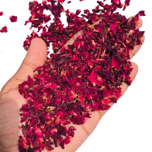 May include: A hand holding a generous amount of dried, crimson rose petals. The petals are a deep red with some lighter, faded edges, and are scattered across the palm and spilling out. The background is plain white.
