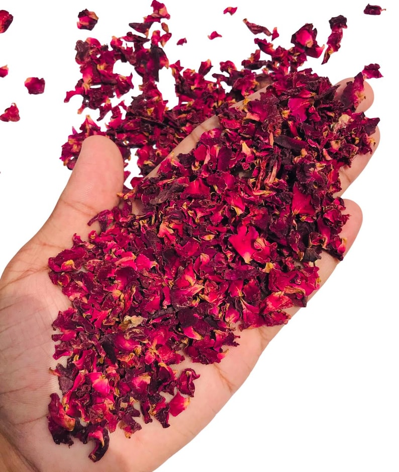 May include: A hand holding a generous amount of dried, crimson rose petals. The petals are a deep red with some lighter, faded edges, and are scattered across the palm and spilling out. The background is plain white.