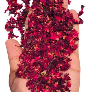 May include: A hand holding a pile of dried rose petals. The petals are a deep red color with some yellow and brown hues. The image is set against a white background.